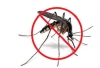U petak dezinsekcija komaraca na Aquacity-u