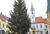 Postavljeno božićno drvo na Korzu